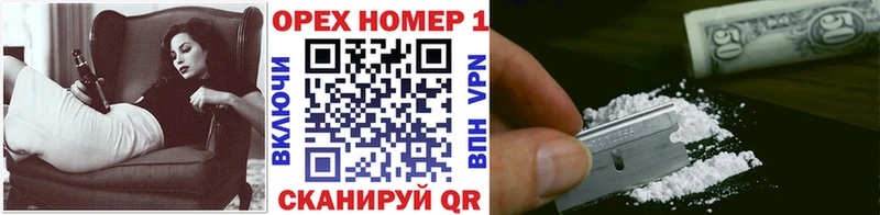 COCAIN Fish Scale Пучеж