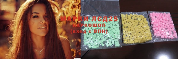 гашик Арсеньев