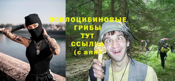 гашик Арсеньев