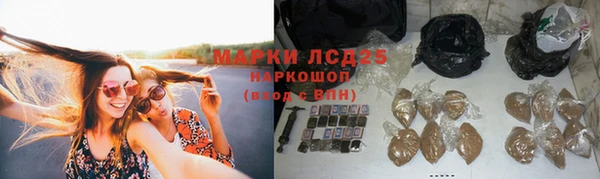 гашик Арсеньев