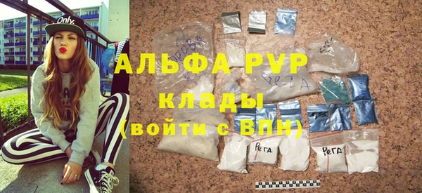 гашик Арсеньев