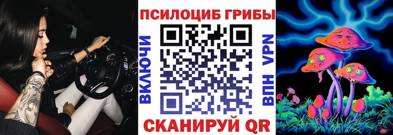KRAKEN маркетплейс  Пучеж  Галлюциногенные грибы мицелий 